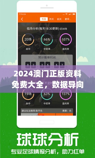 2004新澳正版免费大全;精选解释解析落实