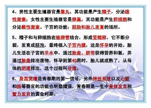 4949正版免费全年资料;精选解释解析落实